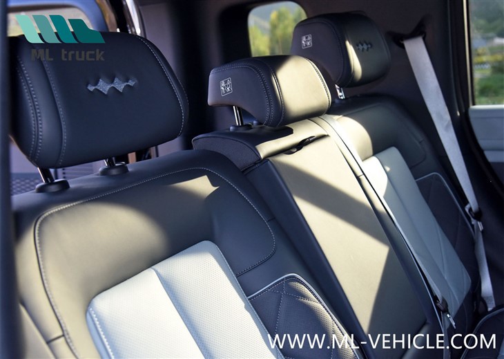 BYD Formula Leopard 5