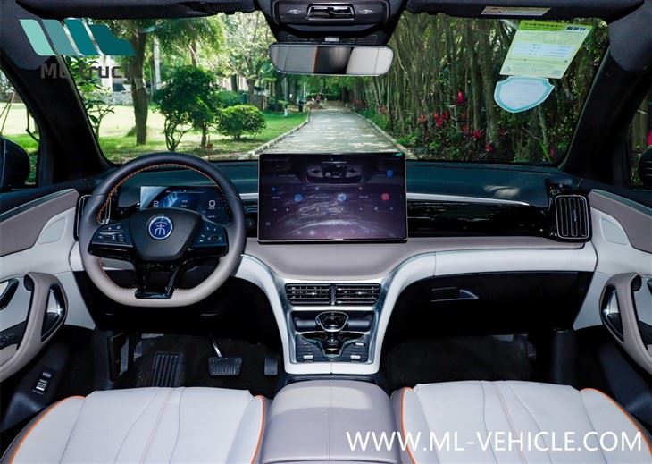 BYD SONG Pro Champion Edition DMI