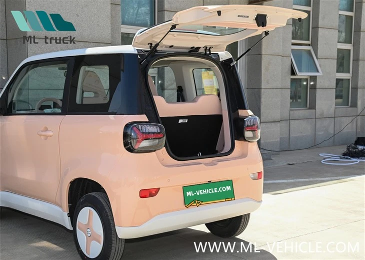 2024 ZHIDO Rainbow EV Car