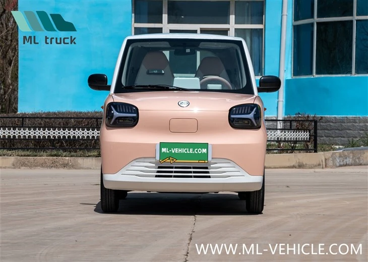 2024 ZHIDO Rainbow EV Car