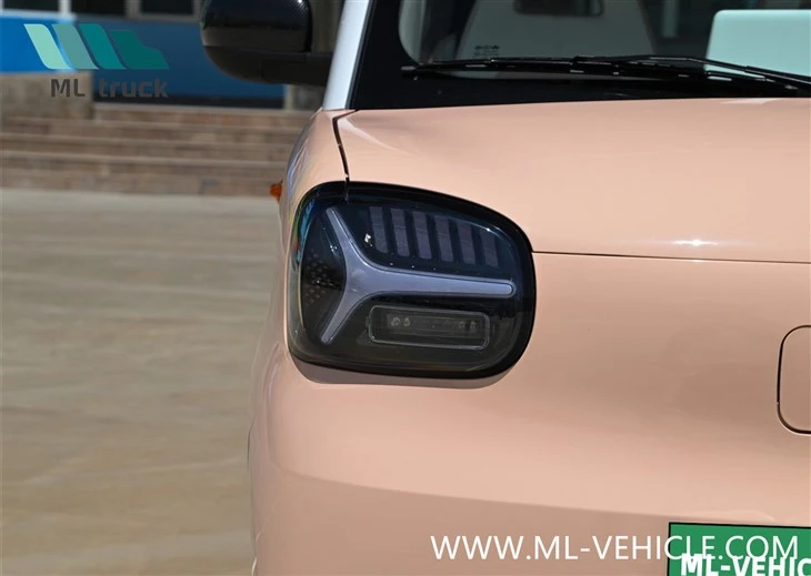 2024 ZHIDO Rainbow EV Car