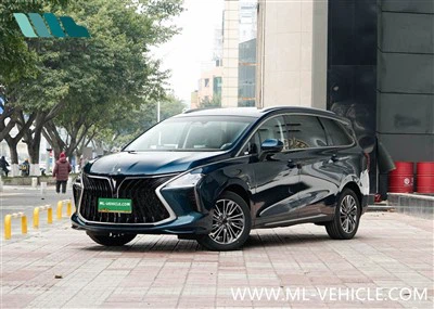 2024 DongFeng Forthing 1.5T DCT Yacht MPV