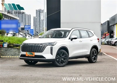 2024-es HAVAL H6 SUV